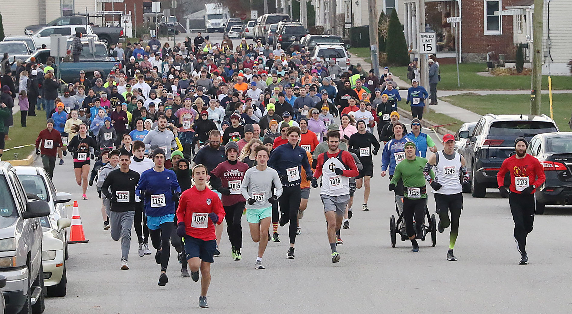 Turkeys trot in New Oxford